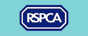 RSPCA Surveying Accrington