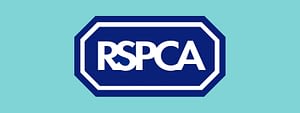 RSPCA Surveying Accrington